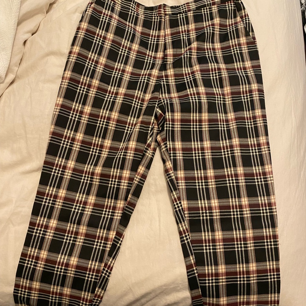 Plaid Dress Plants
